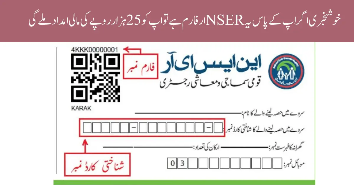 Online Registration BISP 8171 ویب پورٹل - New Changes for 2024-25