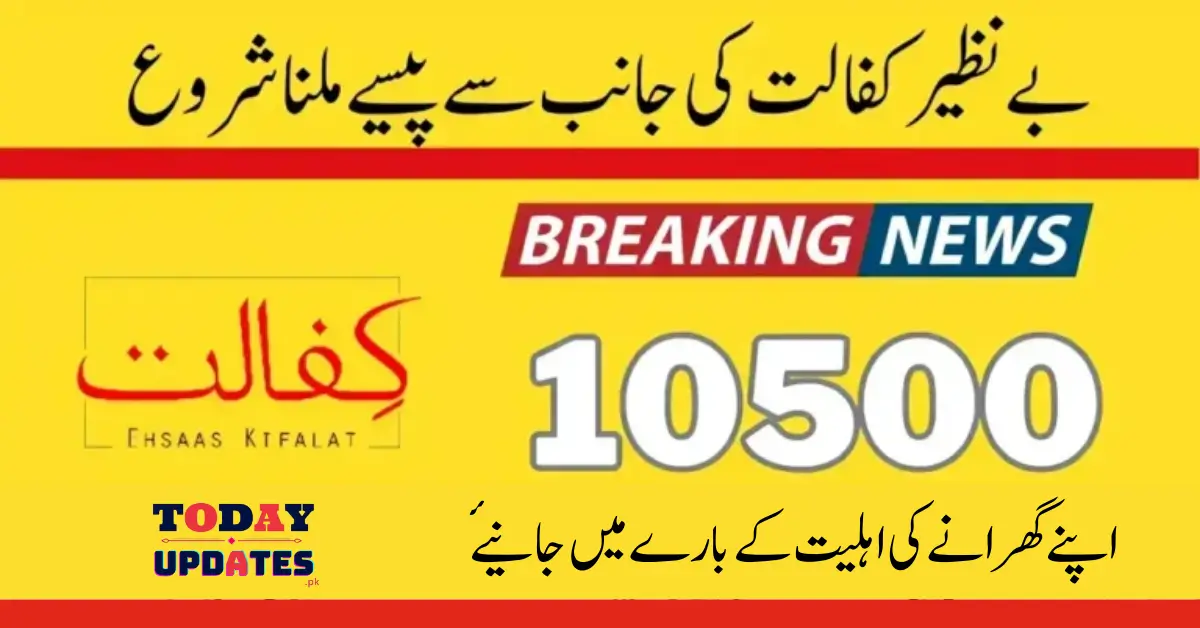 Check Benazir Kafalat 8171 Result Online by CNIC for 10500 Payment Update