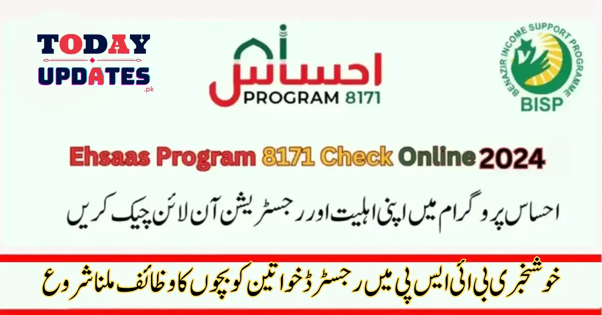 Step-by-Step Guide to Check Ehsaas Program 8171 Online with CNIC Number