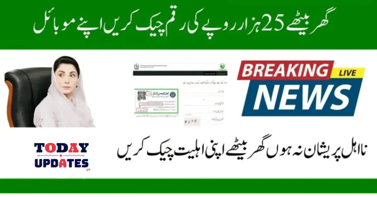 Step-by-Step Guide to Check Your Status for Ehsaas 25000