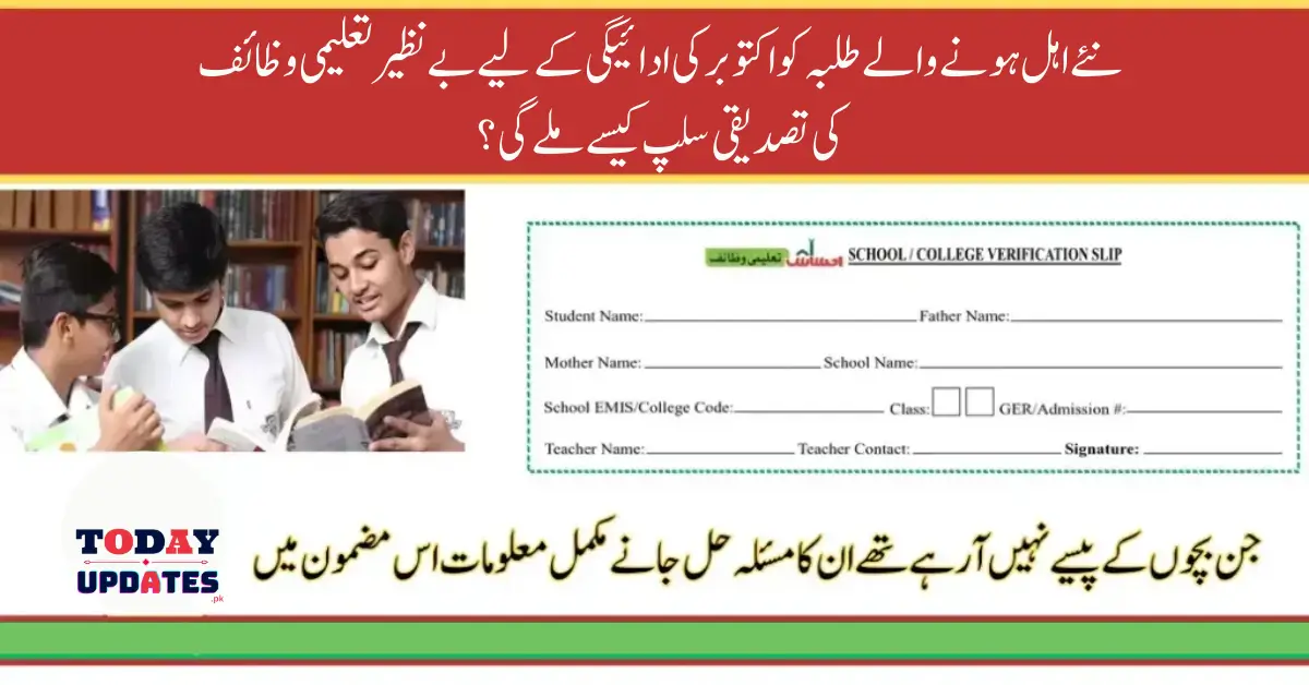 How New Students Will Get Verification Slip By Benazir Taleemi Wazaif For October Payment