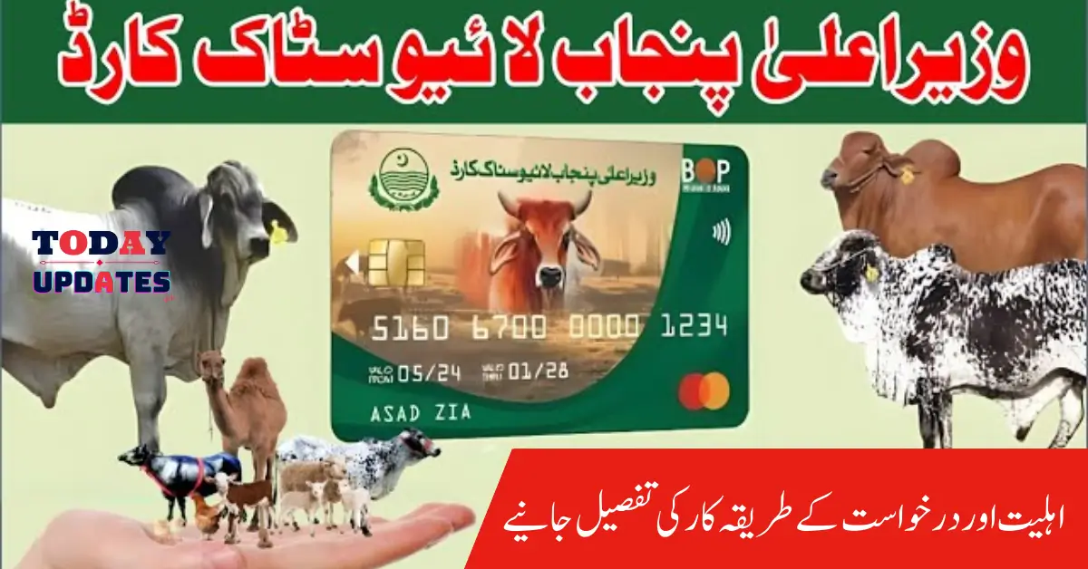 Punjab Launches First Livestock Card and Farmers’ Guidance App with CM Maryam Nawaz's Approval