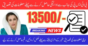 BISP 8171 September 2025 Verification Process to Identify Eligible and Ineligible Women For Payment